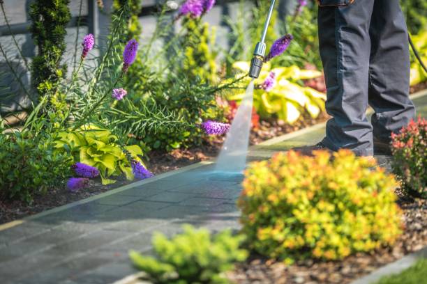 Best Restaurant Pressure Washing  in Fleetwood, PA